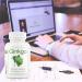 Premium Ginkgo Biloba Leaf Powder 420mg | 120 Vegan Capsules | 4-Month Supply | Made in Germany | Test Winner - Buy Online on GoSupps.com