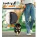 Luctry 3300Ft Remote Dog Training Collar | Anti Bark | IP67 Waterproof | Sound & Vibration Modes | Safety Lock | USB Rechargeable | For 8-100lbs Dogs | Black & Orange - Buy Online on GoSupps.com