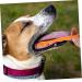 BESPORTBLE 1 Set Pet Toothbrush Dog Care Toothbrush Dog Teeth Cleaning Stick Dog Toothpaste Pp Orange - Buy Online on GoSupps.com