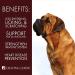 Craving Canine Salmon Oil for Dogs - Omega 3 Fish Oil with Vitamin E for Coat Improvement, 32 oz - Buy Online on GoSupps.com