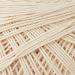 Aunt Lydia 153.0226 Jumbo Crochet Cotton - Natural | High-Quality Thread for Crocheting Projects - Buy Online on GoSupps.com