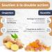 Nutrisolution I Curcu + Curcumin Plant Base I 60 Capsules High Absorption I Food Supplement I Joint Digestion Immunity Ginger Curcumonoids Turmeric I Made in France - Buy Online on GoSupps.com