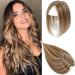 GULALUUK Hair Toppers for Thinning Hair Women Slight Hair Loss Crown Hair Topper Clip in Hair Toppers for Women No Bangs Medium Brown with Warm Highlights (10inch P4/27) P4/27 10inch