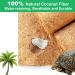 Midyrrg 2 Rolls Reptile Carpet Coconut Fiber Bearded Dragon Substrates Snake Tortoise Bedding Matting Tortoise Substrate Pet Terrarium Liner for Reptiles Lizards Anoles Turtles (50x30cm) - Buy Online on GoSupps.com
