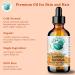 Bella Terra Oils - Organic Carrot Seed Oil 2 oz - Cold-Pressed Elixir Abundant in Vitamin A & E Beta-Carotene Richness Ideal for Nourished Skin Radiance 2 Fl Oz (Pack of 1) - Buy Online on GoSupps.com