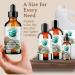 Bella Terra Oils - Organic Fractionated Coconut Oil 2 oz | Pure MCT Oil for Silky Skin | Ideal for Skincare & Haircare - Buy Online on GoSupps.com