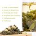 Oriarm 100g / 3.53oz Th Vert au Jasmin Oolong - Taiwan Oolong Th au Jasmin - High Mountain Wulong Green Tea with Jasmine Flowers - Pleasant Aroma Naturally Processed - Buy Online on GoSupps.com