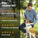 Shop Simplethings Waterproof Airtag Dog Collar - Anti-Loss Cover for Apple Airtag GPS Tracker | Pink & Purple Silicone Holder for Cats & Dogs - M-22mm - Buy Online on GoSupps.com