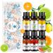 RAINBOW ABBY 6-PACK Citrus Essential Oil Set 100% Pure Orangic Oils (Bergamot Grapefruit Lemon Orange Lime Tangerine) 6x10ML