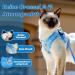 Supet Cat Dishes - Breaking-Safe Cat Linen & Soft Vest for Kittens & Chihuahua (L Light Blue) - Perfect for International Shipping - Buy Online on GoSupps.com