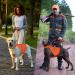Adjustable Reflective Dog Safety Vest - Day & Night Visibility for Outdoor Activities - Buy Online on GoSupps.com