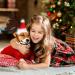 Shop Lynbly Christmas Reindeer Headband for Pets | Adjustable Cat & Dog Headgear with Santa Hat - Buy Online on GoSupps.com