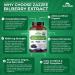 Zazzee USDA Organic Bilberry 20:1 Extract 6000 mg Strength 120 Vegan Capsules 4 Month Supply Standardized and Concentrated 20X Extract 100% Vegetarian All-Natural Non-GMO Made in The USA - Buy Online on GoSupps.com