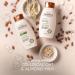 Aveeno Farm-Fresh Oat Milk Conditioner | Sulfate-Free with Colloidal Oatmeal & Almond Milk | Scalp Soothing & Moisturizing | 12 Fl Oz - Buy Online on GoSupps.com