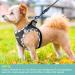 Haapaw Adjustable No Pull Dog Harness & Leash Set - Reflective Step-In Vest for Extra Small to Medium Dogs - Black 31.75-37.3 cm - Buy Online on GoSupps.com