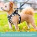 Haapaw Adjustable No Pull Dog Harness & Leash Set - Reflective Step-In Vest for Extra Small & Small Medium Dogs - Black XL (50.8-59.6 cm Breast) - Buy Online on GoSupps.com