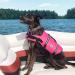 Vivaglory Ripstop Dog Rescue Vest - Buoyant & Visible for Small/Medium Dogs - Pink XS (35-43cm) - Buy Online on GoSupps.com