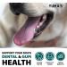 Advanced Dog Dental Powder Breath Freshener with Multivitamin Dog Teeth Cleaning Bad Breath & Tartar and Plaque Off Remover for Dogs Probiotics lab co Pet Oral Care - Vitamins and Supplements Multivitamin 5.3 OZ - Buy Online on GoSupps.com