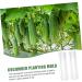Milisten Horticulture 3pcs Vegetable Shaping Mold Strawberry Garden Tools Cucumber Molds As Shown 20x6cm - Buy Online on GoSupps.com