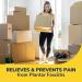 Dr. Scholl's Pain Relief PF Women's 1-Count Women s - Buy Online on GoSupps.com