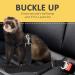 SungRow 2 Snug & Securable Dog & Cat Seat Belts - Universal Fit for Pet Safety While Riding in Cars - Buy Online on GoSupps.com