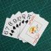 Braille Playing Cards for Blind Players | Large Print Plastic Poker | Accessible Card Games - Buy Online on GoSupps.com