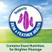 Kaytee Forti-Diet Pro Health Parakeet Food - Nutrient-Rich Formula for Vibrant Birds - Buy Online on GoSupps.com