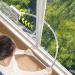 Window Cleaning Brush - Long Handle Scrubber Household Squeegee with Extension Rod | Versatile Window Cleaner Brush with Telescopic Handle Ideal for Home Use Glass Cleaner with High 1.3 m - Buy Online on GoSupps.com