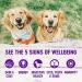 Wellness Complete Health Natural Wet Dog Food - Chicken & Sweet Potato (12.5 oz, Pack of 12) - Buy Online on GoSupps.com