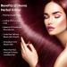 SVATV Burgundy Henna Hair Colour with Goodness of 9 Herbs | Burgundy Henna Mehndi for Hair Make Hair Soft & Shiner Natural Hair Color for Men & Women 227g 08oz - Buy Online on GoSupps.com
