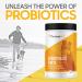 Thomas Labs Acidophilus Forte Digestive Powder 16oz | Probiotic Supplement - Buy Online on GoSupps.com