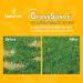 NaturVet GrassSaver Plus Enzymes for Dogs - 240 Soft Chews | Premium Lawn Protection - Buy Online on GoSupps.com