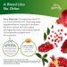 Terry Naturally Pomegranate Seed Oil - 60 Softgels for Health & Wellness - Buy Online on GoSupps.com