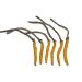 Wild Cordyceps Whole Himalyan Cordyceps Sinensis Mushroom Genuine and Very Rare High Grade Boost Energy Reduce Stress for Men and Women 3 Grams