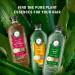 Herbal Essences Pure Plants Honey Daily Moisture Sulfate Free Shampoo 600 mL for All Hair Types specially Dry Hair Shampoo 600 ml (Pack of 1) - Buy Online on GoSupps.com