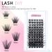 Buy GOSEEK A01 Clear Band Lash Clusters - 72 Mixed Tray Individual Eyelash Extensions (8-16MM) for DIY Lash Application at Home - Buy Online on GoSupps.com