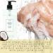 Vitabath Heavenly Coconut Creme Hand Soap - Nourishing Aloe & Antioxidants | Cruelty-Free Gluten-Free Paraben-Free - 16 oz - Buy Online on GoSupps.com