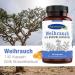 Ayursana Frankincense Capsules - Boswellia Serrata & Indian Frankincense (3 x 140 Caps) | Top-Quality Herbal Supplement for Wellness - Buy Online on GoSupps.com