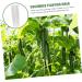 Toddmomy Garden Fruit Mould 4 Pcs Vegetable Shaping Mold Vegetables Vegetable Shaper Mold Cucumber Growth Molds Accessories - Buy Online on GoSupps.com