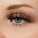 KISS My Lash But Bolder 3D Volume False Eyelashes - Slim Thicc Faux Mink Vegan Natural-Looking & Comfortable - Fluffy 1 Pair | International Shipping Available - Buy Online on GoSupps.com