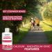 Liquid Calcium Magnesium Formula with Vitamin D Vitamin E and Zinc - Maintain Healthy and Stronger Bones - 500ml - Vanilla Spearmint Flavor - Non-GMO Gluten Free Sugar Free - Made in Canada - Buy Online on GoSupps.com