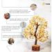 PYOR Aventurine Yellow Feng Shui Money Tree Crystals - Good Luck Energy Gemstones for Spiritual Decor - Buy Online on GoSupps.com