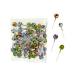 Fruit Football Lollipop Ball Cojak 8 grams 50 pieces lollies bulk pack individually wrapped
