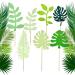 14 PCS Tropical Leaves Cake Topper Personalised Artificial Palm Leaves Glittery Tropical Jungle Cake Topper Tropical Party Jungle Hawii Summer Theme Birthday Party Supplies Cake Decorations - Buy Online on GoSupps.com