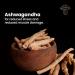 Energy Mushroom Supplement - Cordyceps Ashwagandha & Guarana | 3X More Mushrooms for Energy & Stamina | 60 Capsules - Buy Online on GoSupps.com