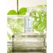 Pre de Provence Advanced Alcohol Based Hand Sanitizer Gel - 3.4oz Coconut - Moisturizing and Softening Formula - Buy Online on GoSupps.com