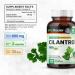 MauWe Herbs Cilantro Capsules - Heart, Eye & Body Support Supplement - with Vitamins, Minerals & Antioxidants - 100 Caps - Buy Online on GoSupps.com