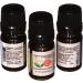 TVaromatics Organic Cassia Essential Oil - 100% Pure Cinnamomum Cassia 1/6 fl oz (5 mL) for International Shipping - Buy Online on GoSupps.com