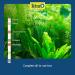 Tetra EasyStrips 6-in-1 Aquarium Test Strips - 25 Strip Pack for Fresh and Salt Water - Buy Online on GoSupps.com