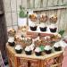 Sursurprise 36Pcs Desert Cupcake Toppers for Desert Cactus Baby Shower Decorations Arizona Wedding Western Cowboy Horse Birthday Party Supplies - Buy Online on GoSupps.com